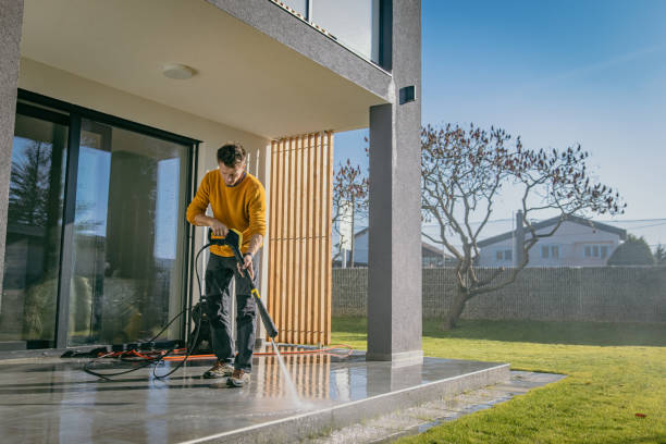 Animal Enclosure Cleaning in Borrego Springs, CA