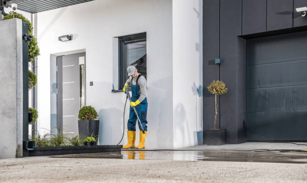 Best Sidewalk and Walkway Cleaning  in Borrego Springs, CA